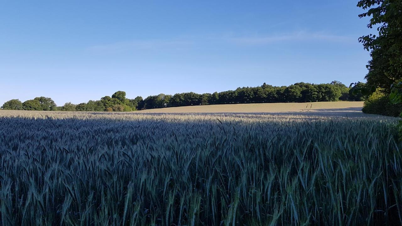 Nuances Bretonnes Bed & Breakfast Elliant Bagian luar foto
